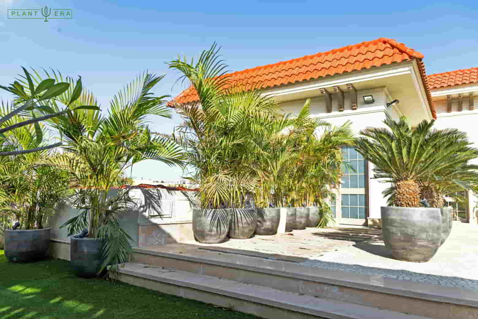 MA Villa